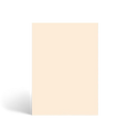 Load image into Gallery viewer, (Tan)
