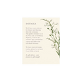 Load image into Gallery viewer, Wedding Invitation | Elderflower