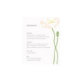 Load image into Gallery viewer, Wedding Invitation | Pretty Poppies
