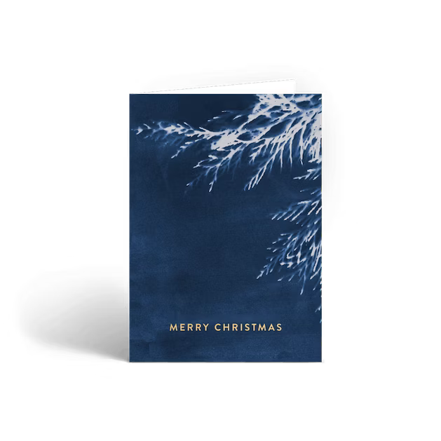 Holiday Card | Merry Christmas