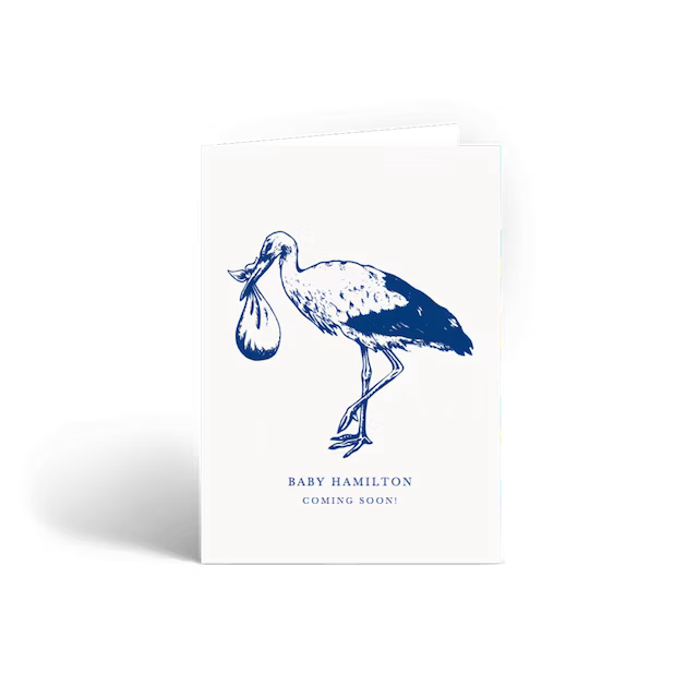 Pregnancy Announcement | Stork