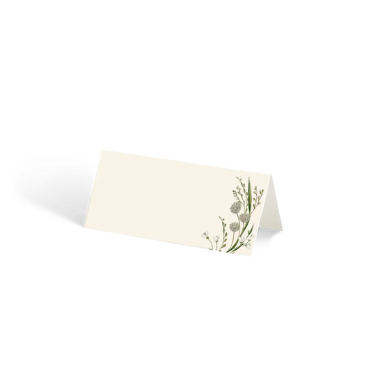 Place Cards | Elderflower