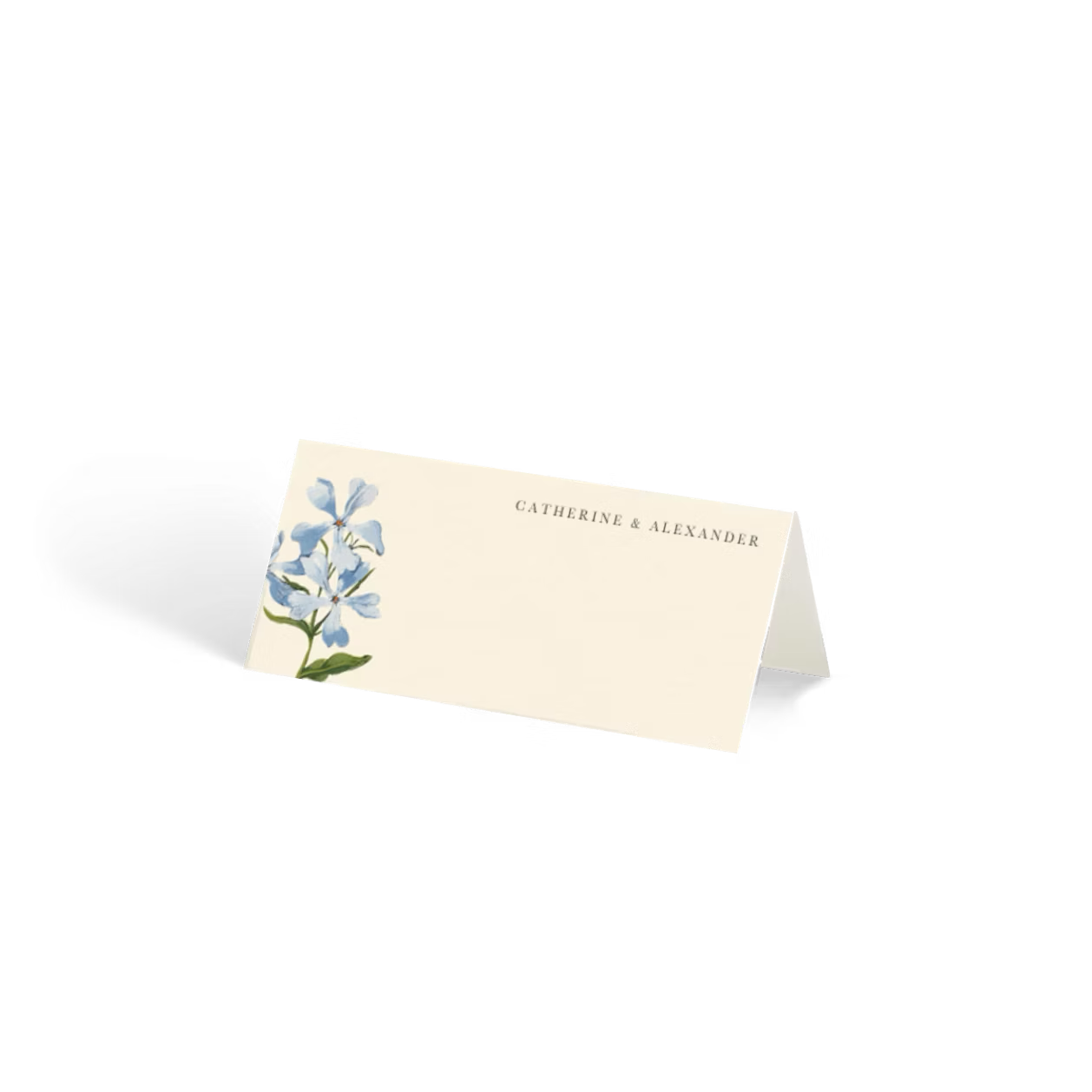 Place Cards | Wildflowers